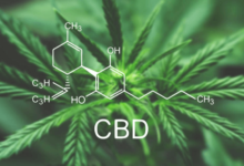 How Long Does Cbd Stay in Blood Reddit