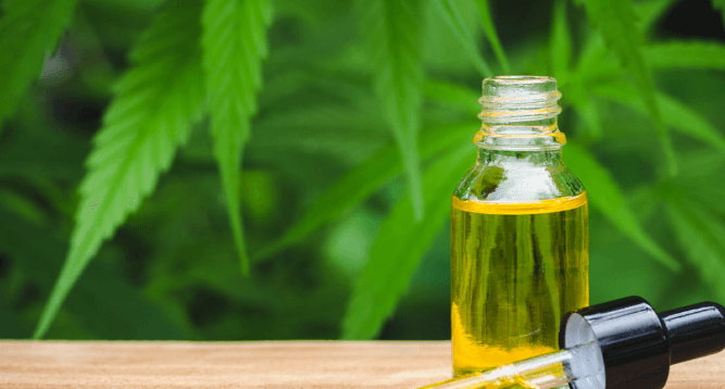 What Is Cbd?