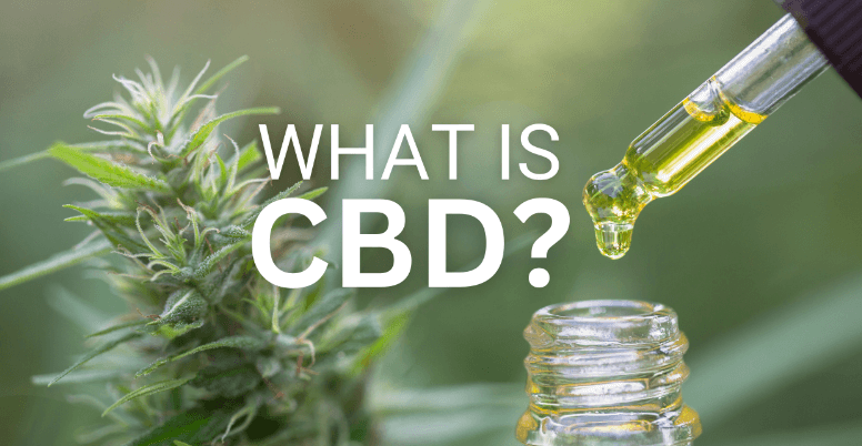 What Is Cbd?