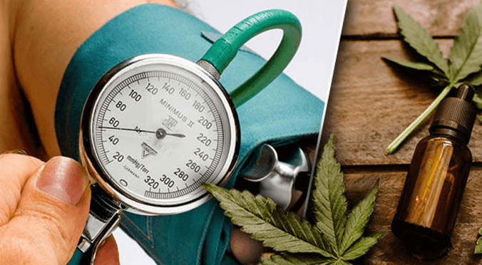 Which Cbd Is Best for High Blood Pressure