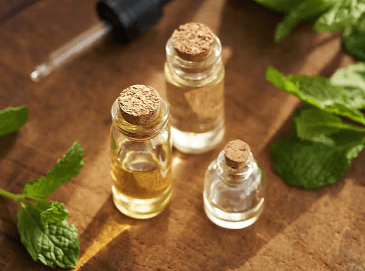 Which Cbd Oil Is Best for Acid Reflux