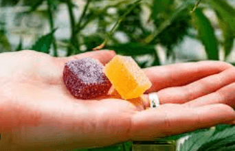 Cbd Gummies Where Can I Get