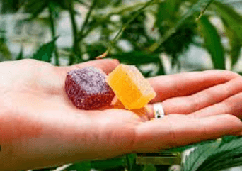 Cbd Gummies Where Can I Get