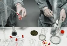 cbd and drug testing