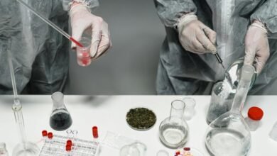 cbd and drug testing