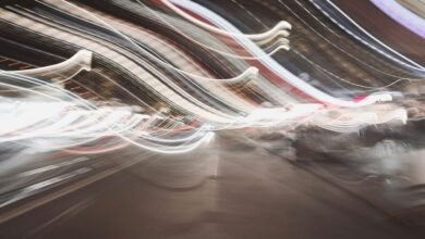 cbd and metabolism effects
