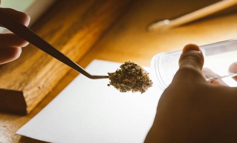 cbd and probation testing