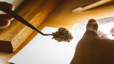 cbd cream drug test results