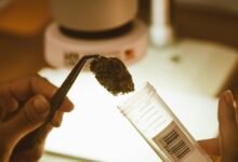 cbd detection in urine