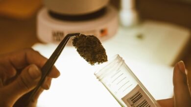 cbd detection in urine