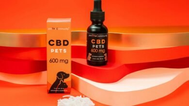 cbd dosage for cats