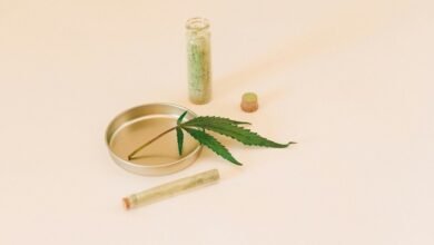 cbd for anxious cats