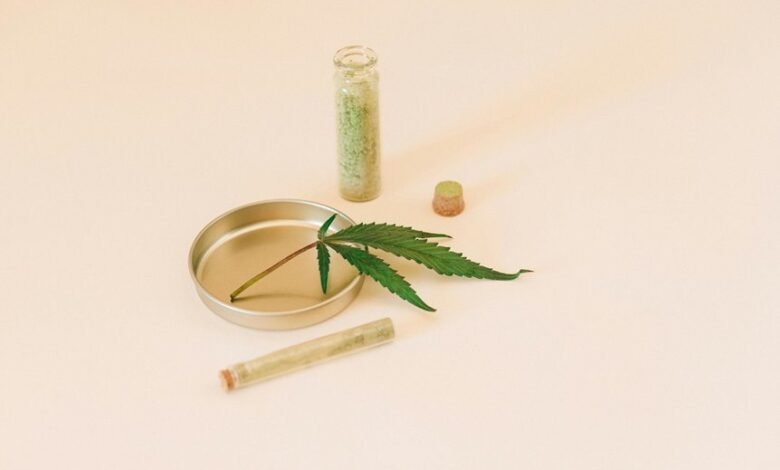 cbd for anxious cats
