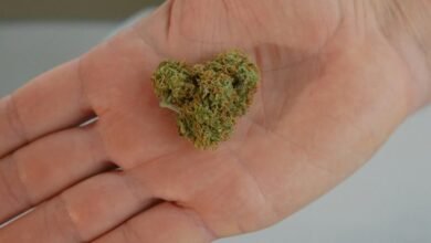 cbd is not opioid