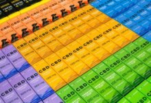 cbd oil dangers for dogs
