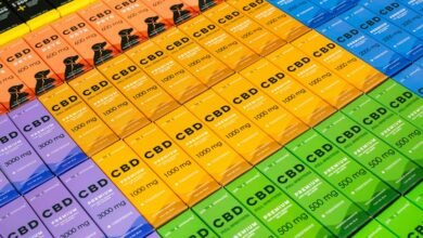 cbd oil dangers for dogs