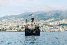 cbd policy on cruise