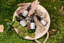 cbd products airplane policy