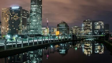 cbd travel regulations brazil