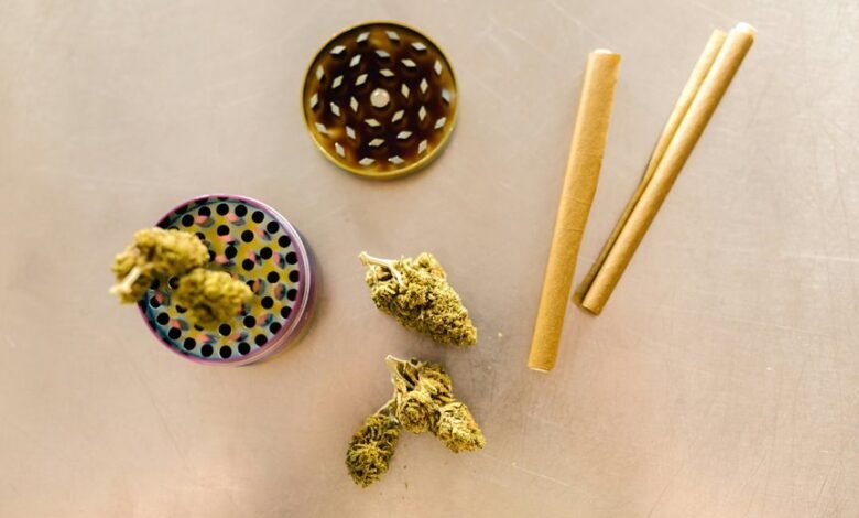 choosing the right cbd