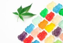 gummies containing thc or cbd
