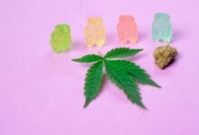 gummies onset time frame