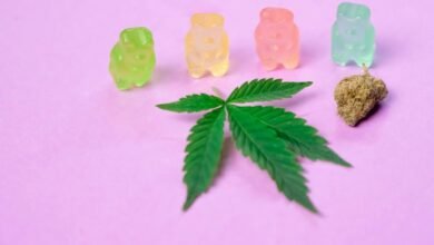 gummies onset time frame