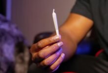 indica strain cbd levels