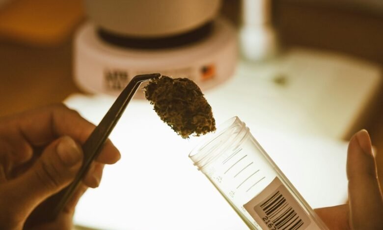 interpreting cbd lab results