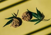 making cbd infused treats
