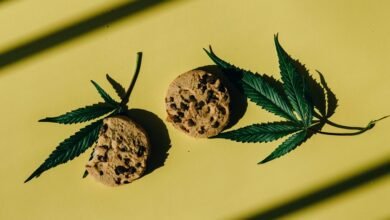 making cbd infused treats