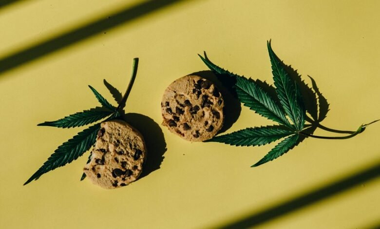 making cbd infused treats