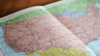 productive insights for success