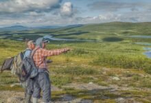 the ultimate guide with tips