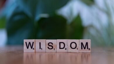 top reasons to learn about 3463481275